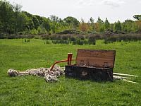 P5191310